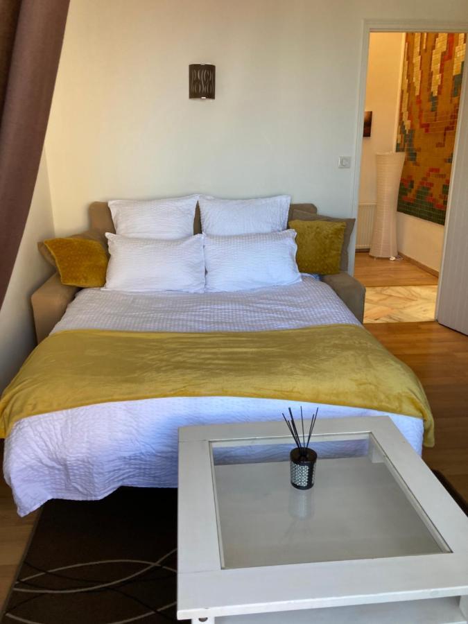 Appart Aux Deux Colombes Avec Balcon Et Garage Pamiers Eksteriør bilde